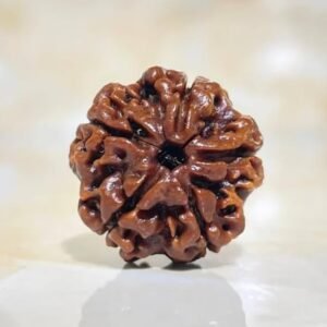 Rudraksha Bead