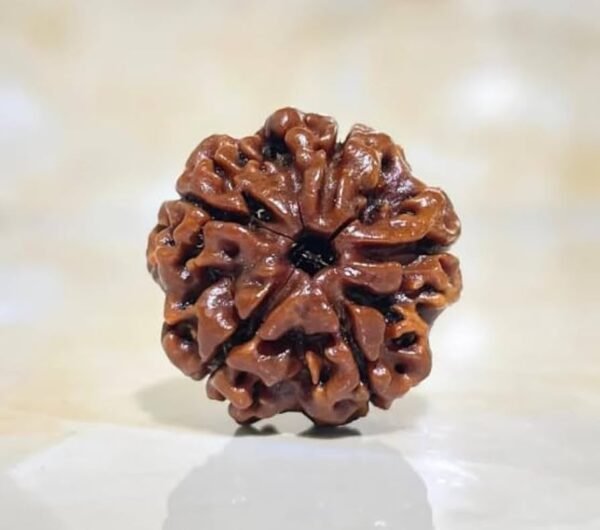 Rudraksha Bead